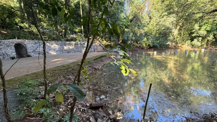 Duas novas nascentes aparecem no lago do Parque do Ingá